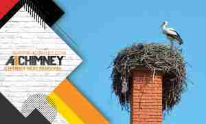 Chimney Nest Removal